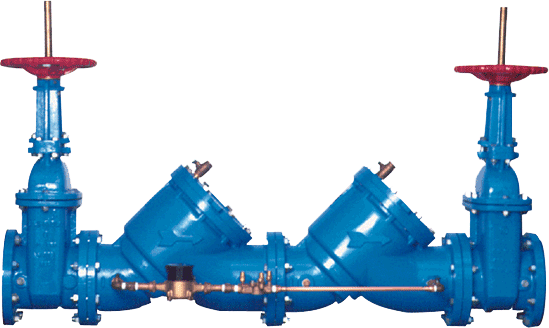 Austin back flow maintenance